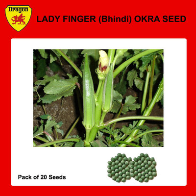 Dragon Bhindi Seed(1 per packet)
