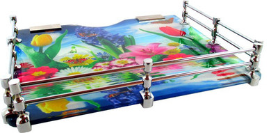 

RoyaL Indian Craft Pivot Bracket Beautiful Flora Printed 9 By 11 INCH Multipurpose Speaker/ Set Top Box Glass Wall Shelf(Number of Shelves - 1, Multicolor)