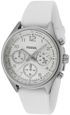 

Fossil CH2770 FLIGHT Watch - For Men