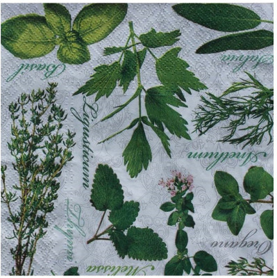 

craftsneed Decorative 3Ply paper napkin for decoupage-Herbal Teste Multicolor Napkins(2 Sheets)