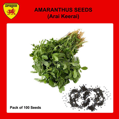Dragon Amaranthus Seed(1 per packet)