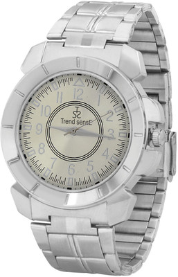 

TrendsensE 1127-SS-SIL Watch - For Men