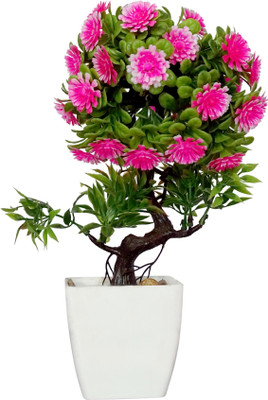 

HOB Pink, Green, White Assorted Artificial Flower with Pot(5.9 inch, Pack of 01)