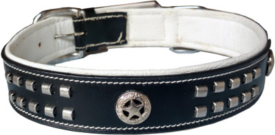 

Petshop7 1.5 inch Leather with designer studs Dog Everyday Collar(, Black
