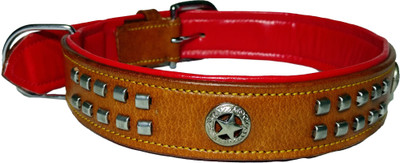 

Petshop7 1.5 inch Leather with designer studs Dog Everyday Collar(, Brown