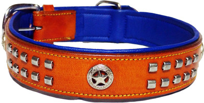 

Petshop7 1.5 inch Leather with designer studs Dog Everyday Collar(, Brown