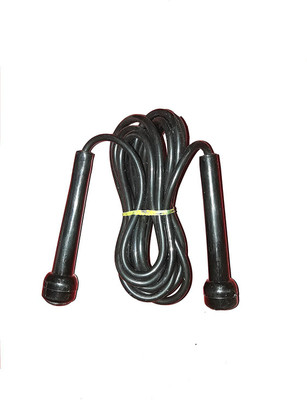 

ME ME031 Weighted Skipping Rope(Black, Length: 240 cm)