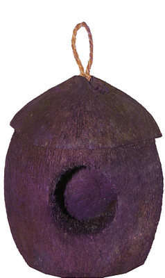 

BRAMMA PURPLE COCONUT HUSK Bird House(Hanging)