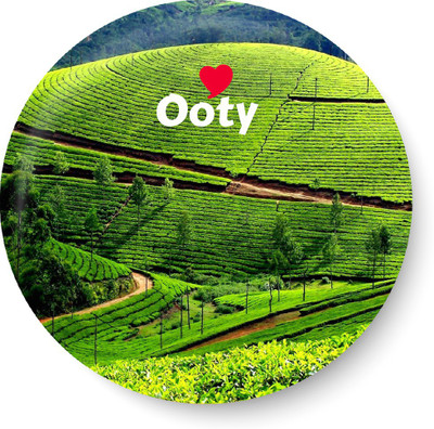

PEACOCKRIDE Love Ooty Magnet Fridge Magnet Pack of 1(Multicolor)