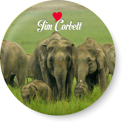 

PEACOCKRIDE Love Jim Corbett Magnet Fridge Magnet Pack of 1(Multicolor)