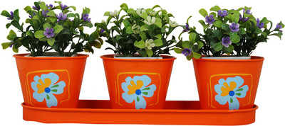 

Wonderland Round Herb Set of 3 Plant Container Set(Pack of 3, Metal)