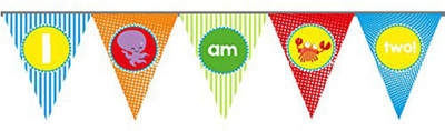 

PARTY PROPZ RT Banner(5 ft, Pack of 1)