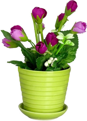 

HOB Multicolor Tulips Artificial Flower with Pot(5.5 inch, Pack of 01)