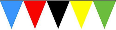 

PARTY PROPZ ANGRY BIRD BIRTHDAY DECORATION/PENNANT BANNER 8FT SET OF 1/ANGRY BIRD PARTY SUPPLIES Pennant Banner(5 ft, Pack of 1)
