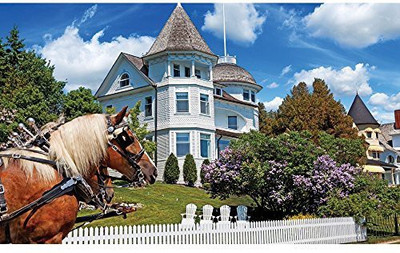 

George Colorluxe Puzzle Wedding Cake Cottage(1000 Pieces)