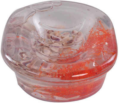 

24x7 Premium Soap Case, Acrylic ,OIL FILLED ~ FLOATING FLOWERS AND SHELLS, Orange Size 5.5x4x1.5 inches (14cm x 10cm x 3.8cm)(Orange)