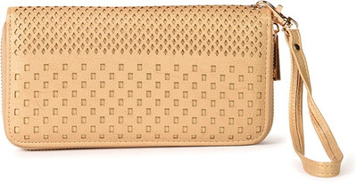 

Diana Korr Casual Gold Clutch