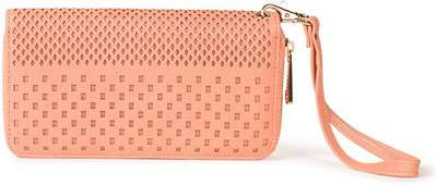 Diana Korr Casual Pink Clutch