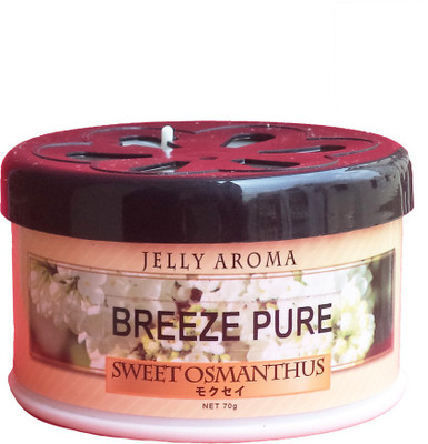 

Breeze Pure Fresh Car Freshener(70 g)