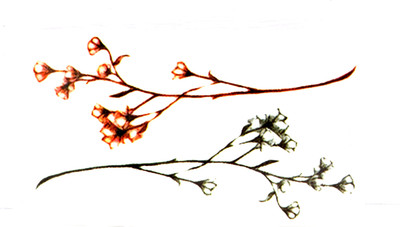 

Gemmas Fashion(Flower)