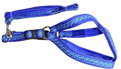

foodie puppies FP_LS2 15 cm Dog & Cat Strap Leash(Blue, White)