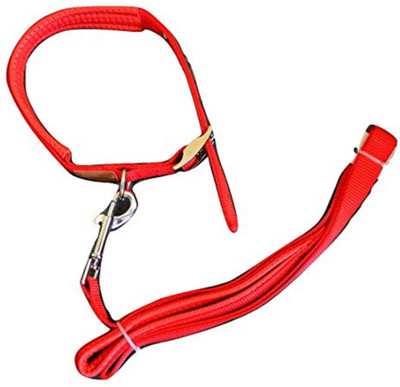 

foodie puppies FP_LS3 5 cm Dog Strap Leash(Red)