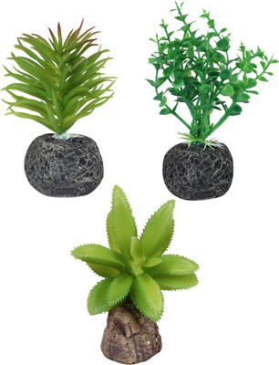 

Jainsons Pet Products River Rock Unplanted Substrate(Multicolor)
