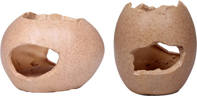 

Jainsons Pet Products Laterite Unplanted Substrate(Beige)