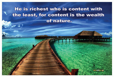 

Pics And You Wealth Of Nature 3M/Avery Vinyl Laptop Decal 15.6
