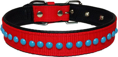 

Petshop7 Dog Everyday Collar(, Red