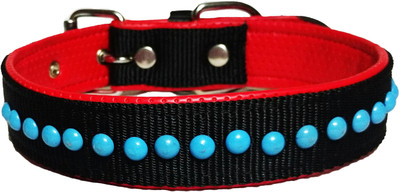 

Petshop7 Dog Everyday Collar(, Black