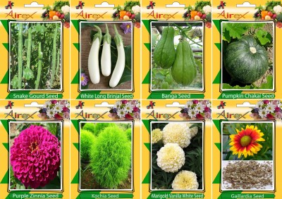 Airex Snake Gourd, White Long Brinjal, Banga, Pumpkin, Purple Zinnia, Kochia, White Marigold, and Gaillardia Seed(20 per packet)