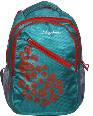 

Skylocks Skylock1086 22 L Backpack(Green)