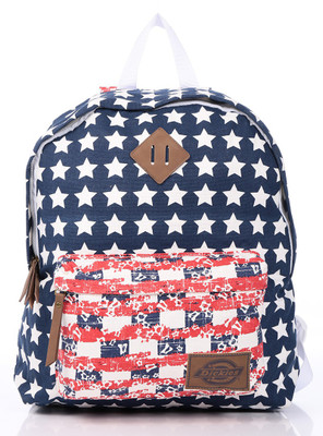 

Dickies 434 21 L Backpack(Multicolor), Blue