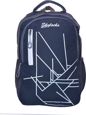 Skylocks rose 07 22 L Laptop Backpack(Blue)