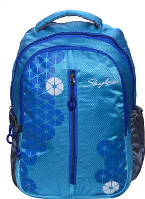 

Skylocks rose 15 22 L Laptop Backpack(Blue)