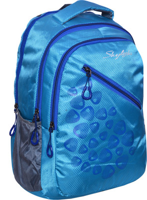 Skylocks Skylock1084 22 L Backpack(Blue)