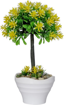 

HOB Yellow, Green Assorted Artificial Flower with Pot(5.2 inch, Pack of 01)