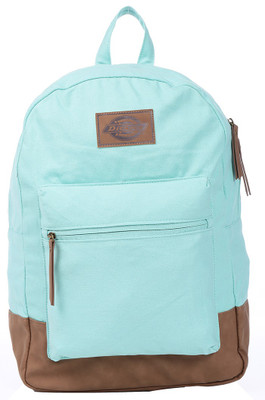 

Dickies 313 21 L Backpack(Green), Mint green