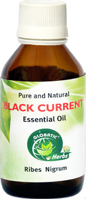 

Globatic Herbs BLACK CURRENT Oil (Ribes Nigrum)100% Natural and Pure(30 ml)