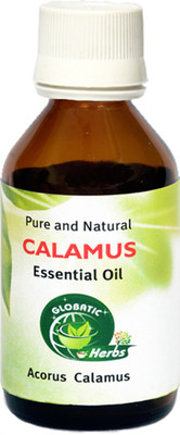 

Globatic Herbs CALAMUS Oil (Acorus Calamus)100% Natural and Pure(15 ml)