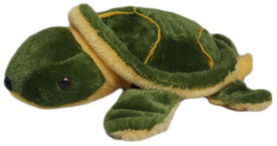 

ZICA TORTOISE 3 - 60 cm(Multicolor)