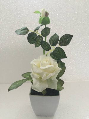 

uc Artificial Flower White Rose Artificial Flower with Pot(5.5 inch, Pack of 1)