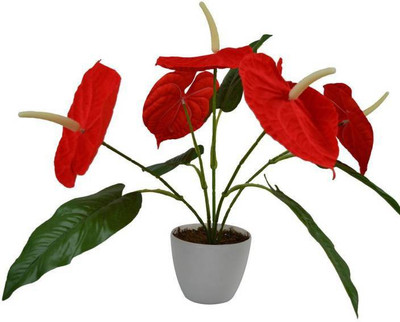 

uc Artificial Flower Red Lily Artificial Flower with Pot(8.8 inch, Pack of 1)