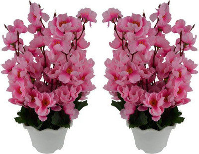 

uc Artificial Flower Pink Peony Artificial Flower with Pot(5.5 inch, Pack of 2)