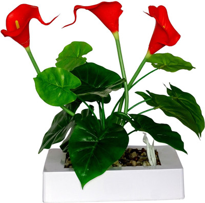 

HOB Red, Green, White Lily Artificial Flower with Pot(10.5 inch, Pack of 01)