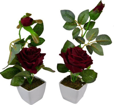

uc Artificial Flower Multicolor Rose Artificial Flower with Pot(5.5 inch, Pack of 2)