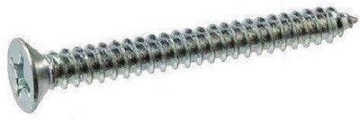 

A & Y Traders Stainless Steel Flat Head Thread Rolling Screw(2 mm Pack of 100)