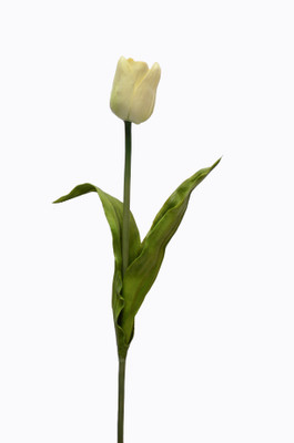 

Roopray Yellow Tulips Artificial Flower(45 inch, Pack of 1)