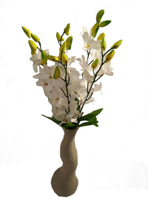 

Roopray White Orchids Artificial Flower(45 inch, Pack of 6)